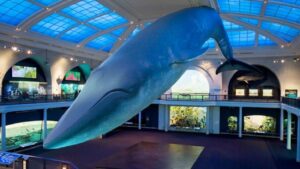 Virtual Tour For Kids