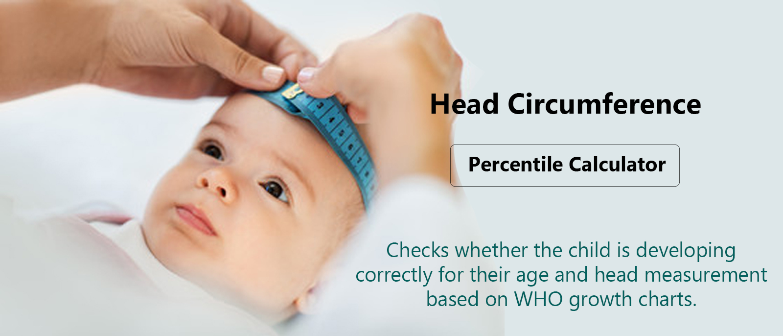 Head Circumference 