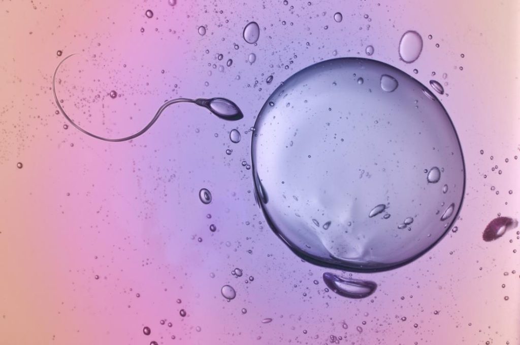 5 Signs That You Are Ovulating Right Now