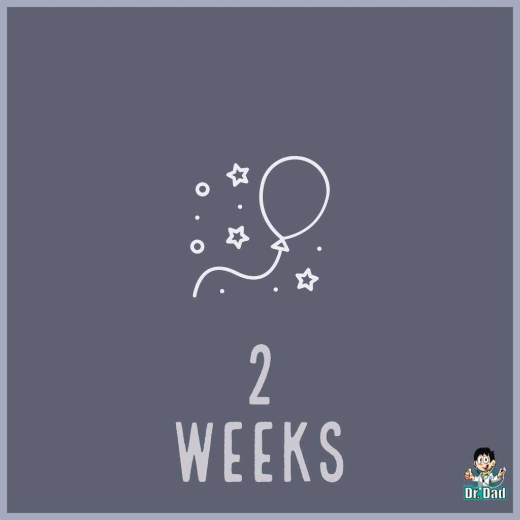 your pregnancy week by week week 2