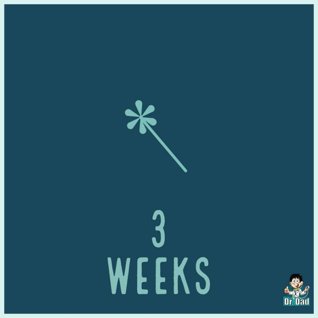 your pregnancy week by week week 3