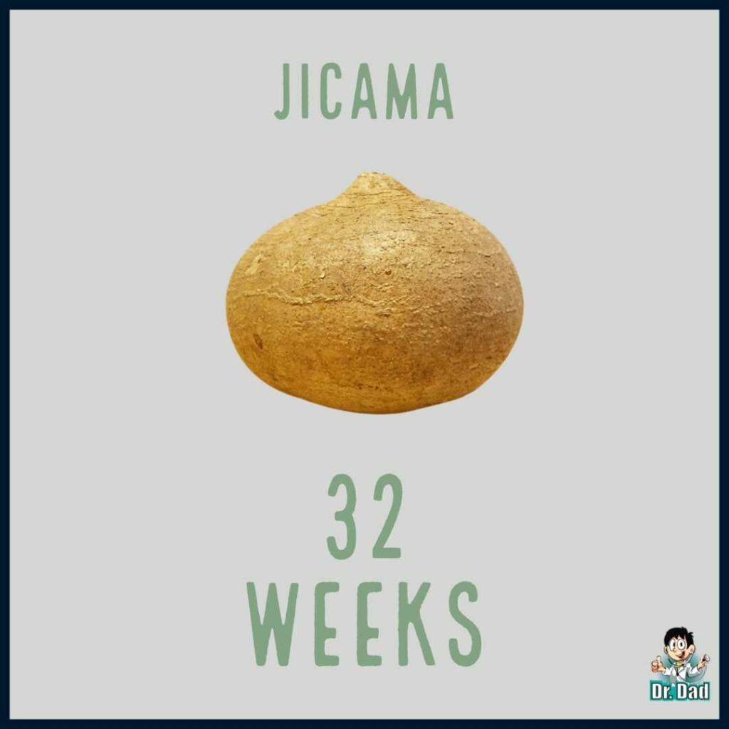 your pregnancy week by week week 32