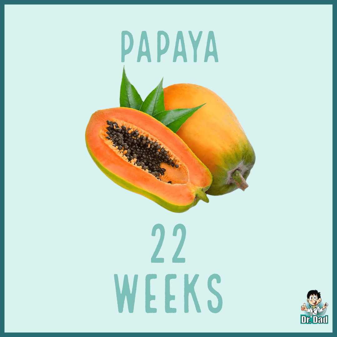 your pregnancy week by week week 22