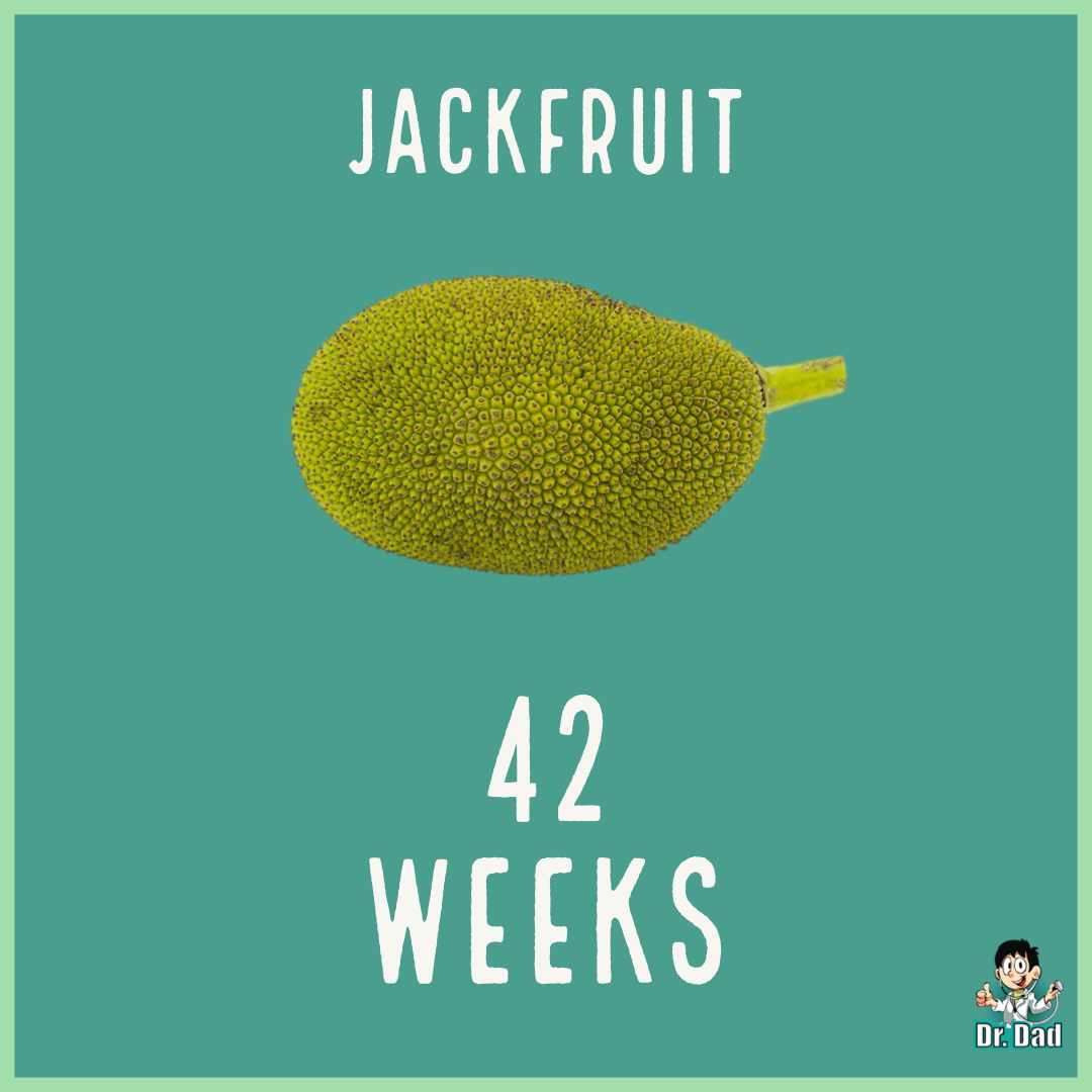 your pregnancy week by week week 42