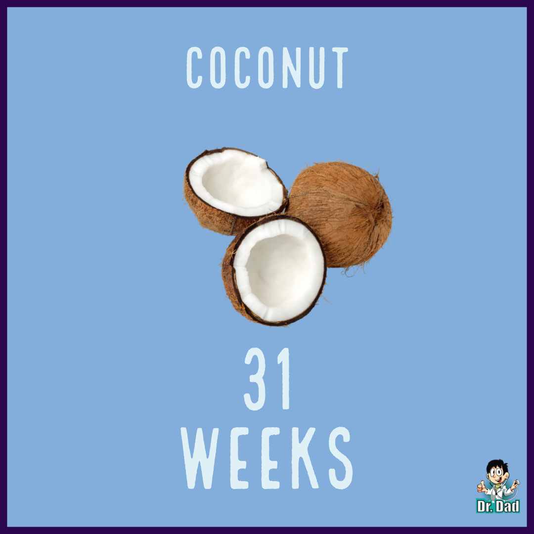 your pregnancy week by week week 31