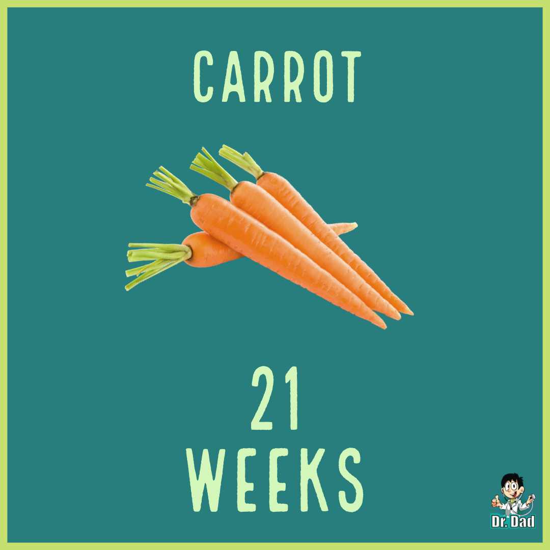 your pregnancy week by week week 21