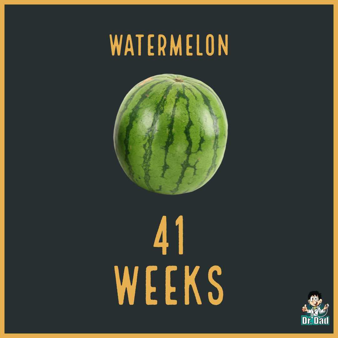 your pregnancy week by week week 41