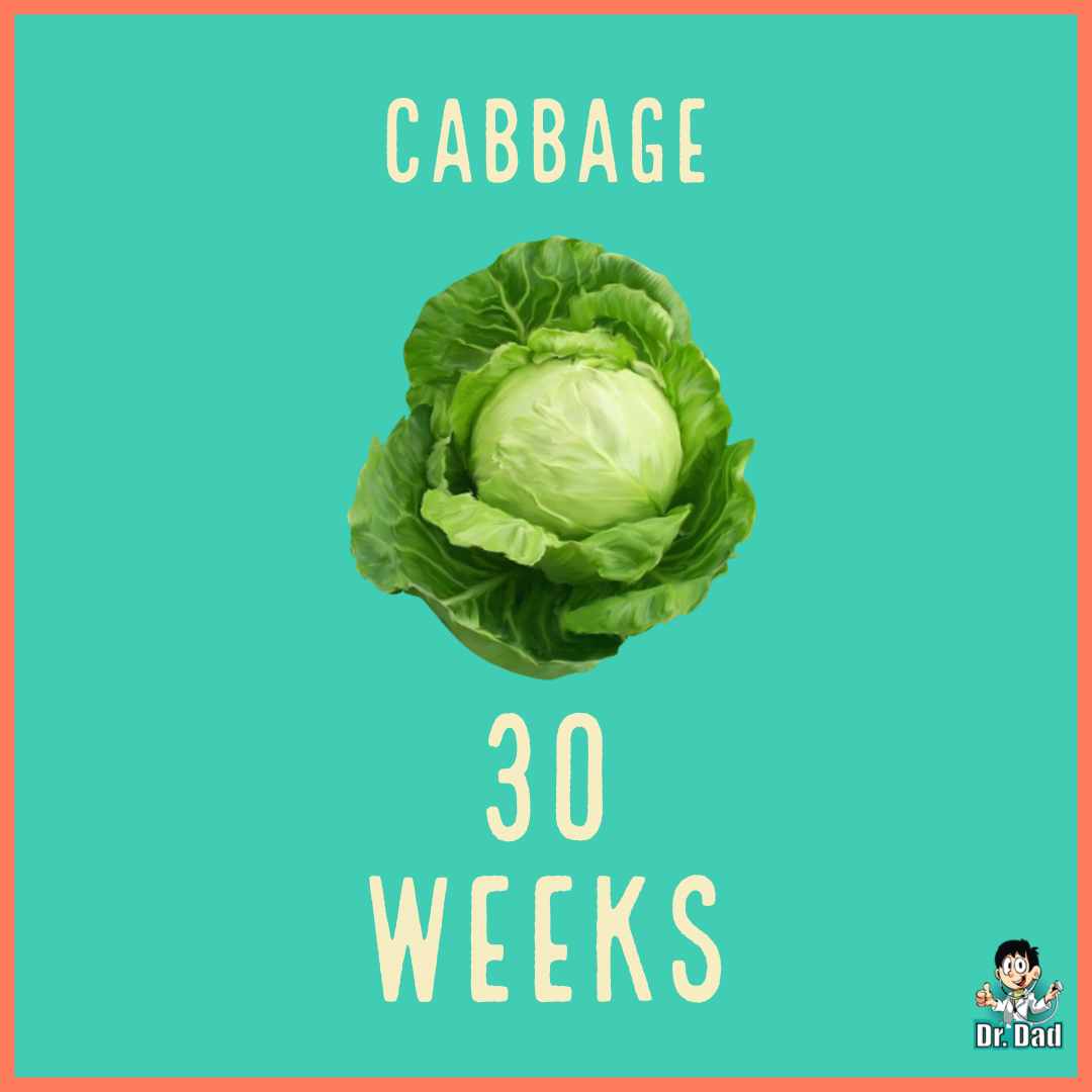 your pregnancy week by week week 30