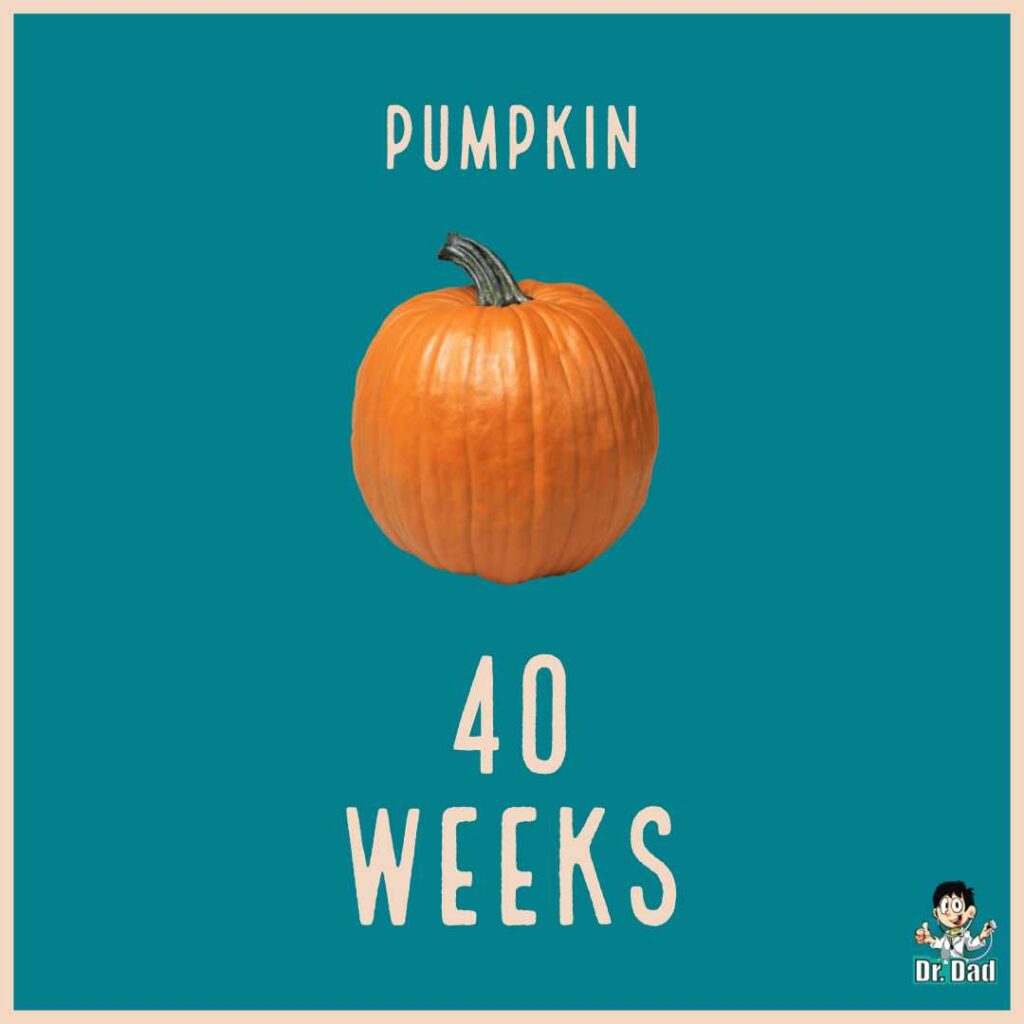 your pregnancy week by week week 40