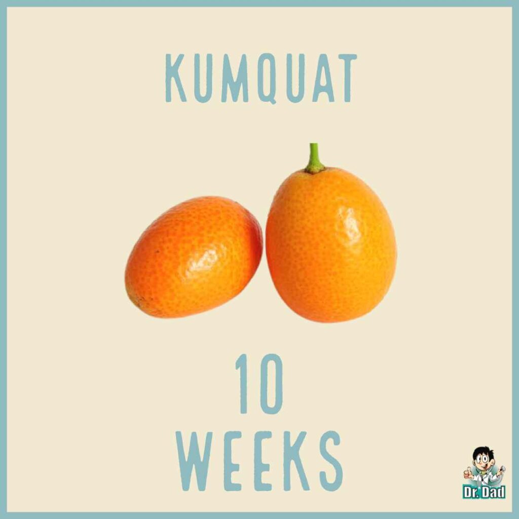 your pregnancy week by week week 10