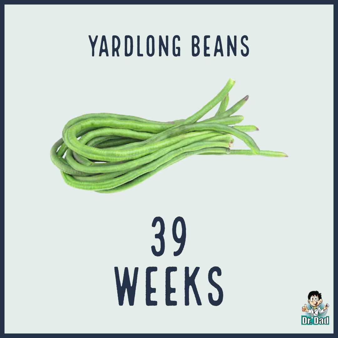 your pregnancy week by week week 39