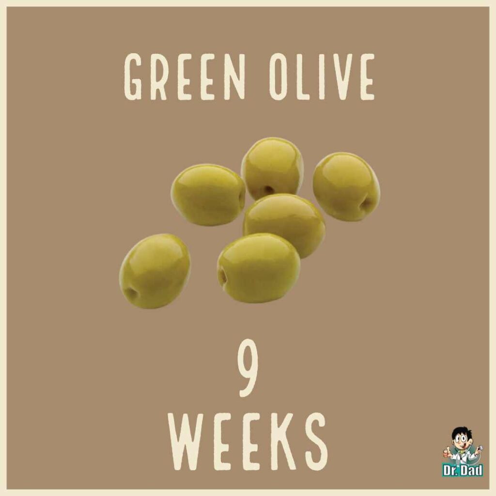 your pregnancy week by week week 9