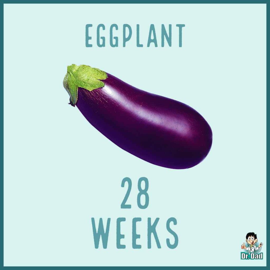your pregnancy week by week week 28
