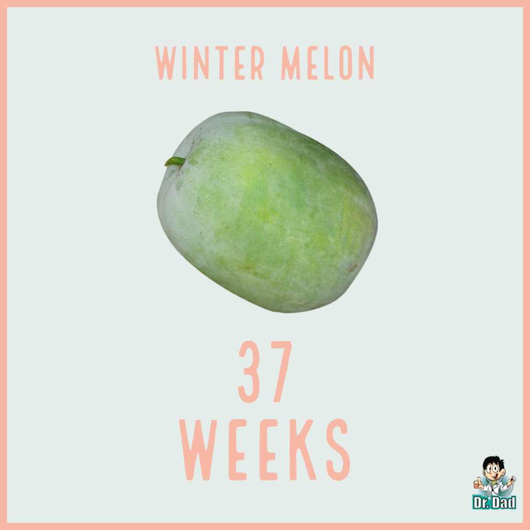 your pregnancy week by week week 37