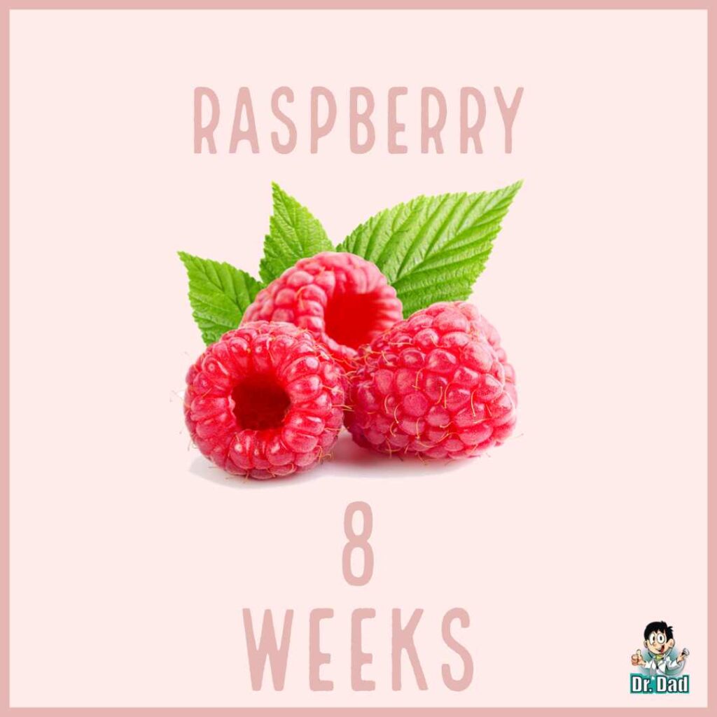 your pregnancy week by week week 8