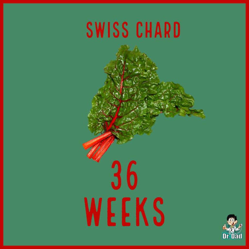 your pregnancy week by week week 36