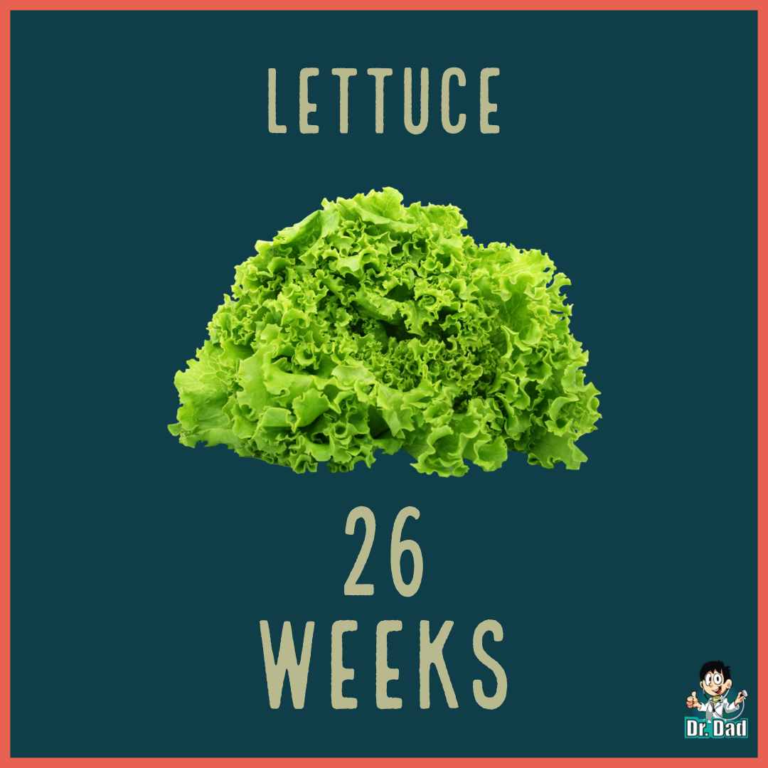 your pregnancy week by week week 26