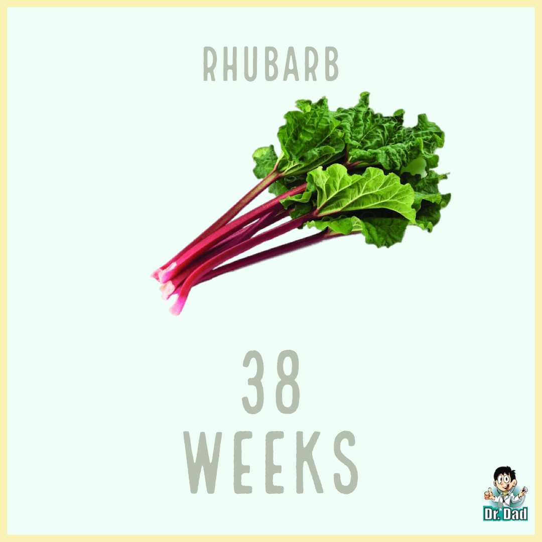 your pregnancy week by week week 38