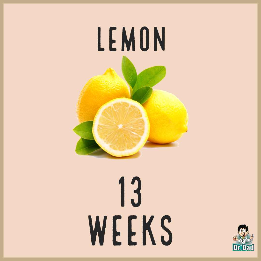 your pregnancy week by week week 13