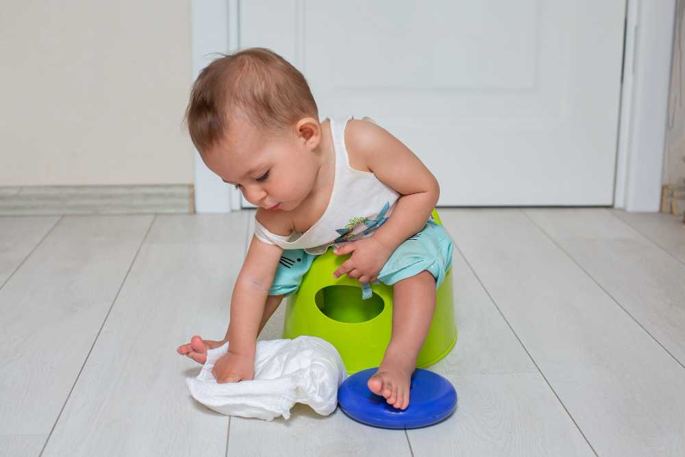 Potty Training For Toddlers