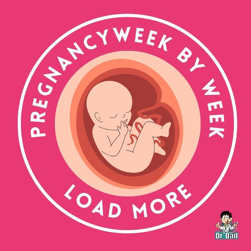 Pregnancy week by week Dr Dad